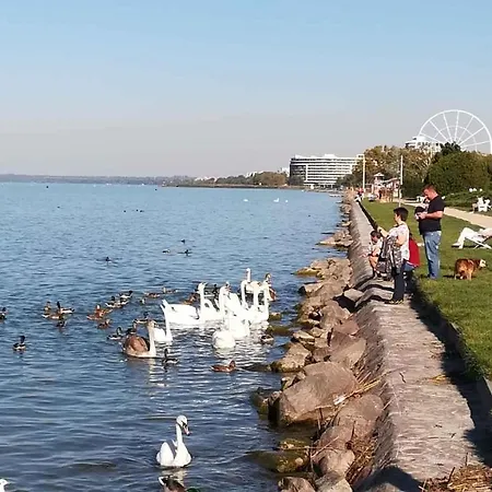 펜션 In - Balaton 19721